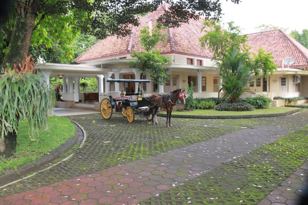 Hôtel Omah Kertonegoro à Yogyakarta Extérieur photo
